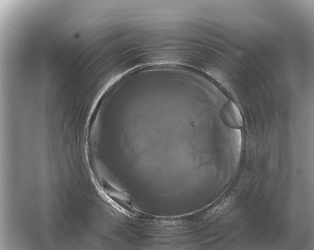 X0000064770941200602241948