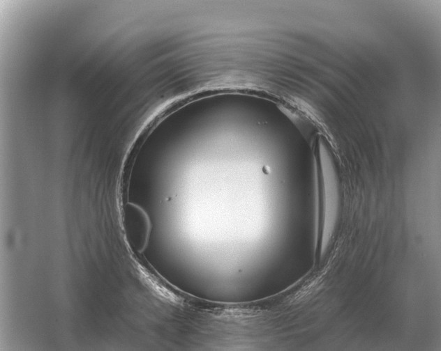 X0000064770942200602241948