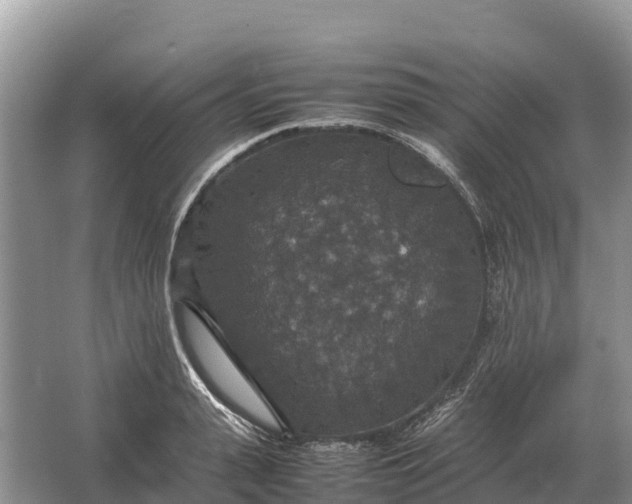 X0000064770943200602241948