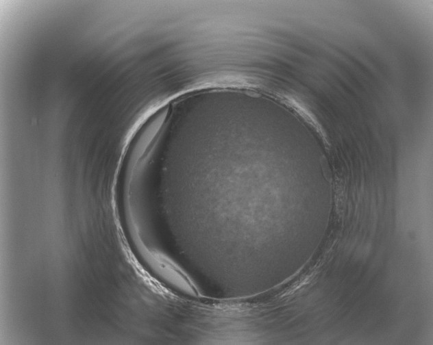 X0000064770944200602241948