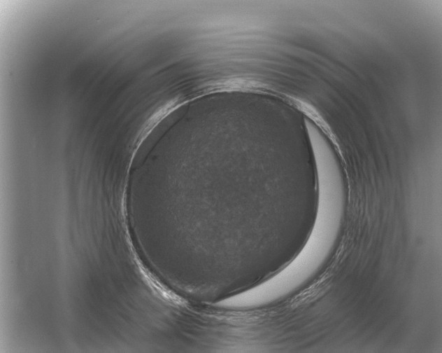 X0000064770946200602241948