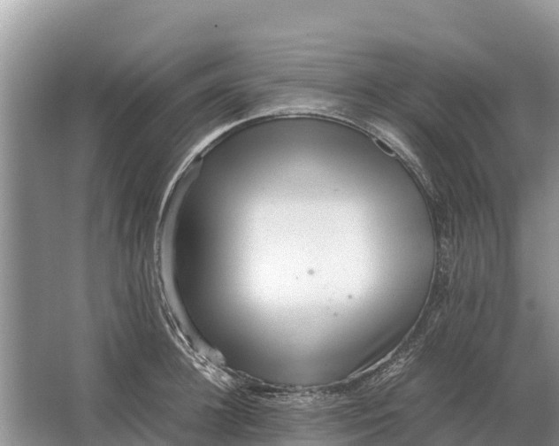 X0000064770948200602241948