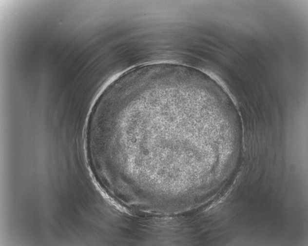 X0000064770949200602241948