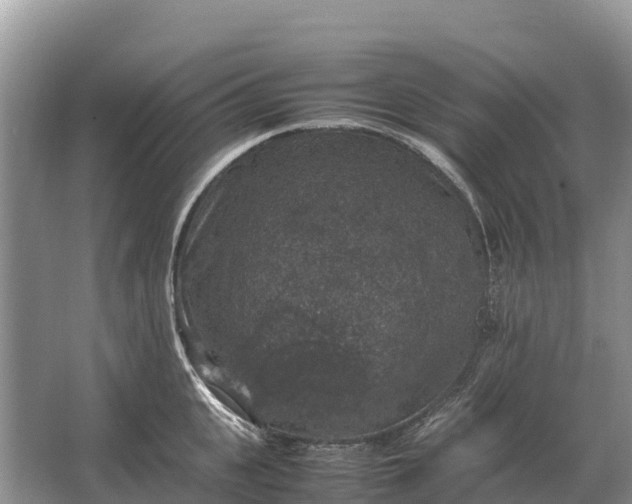 X0000064770951200602241948