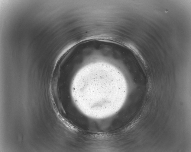 X0000064770952200602241948