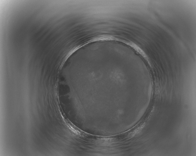 X0000064770953200602241948