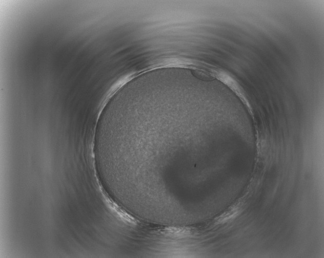 X0000064770954200602241948