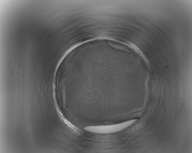 X0000064770955200602241949