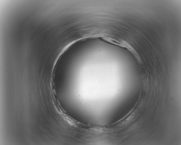 X0000064770956200602241949