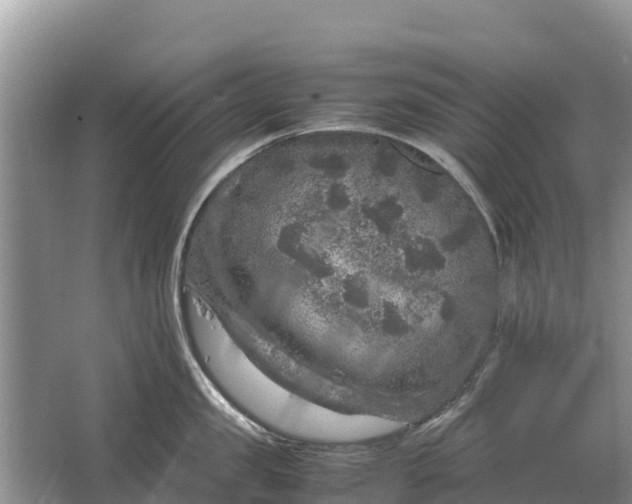 X0000064770957200602241949