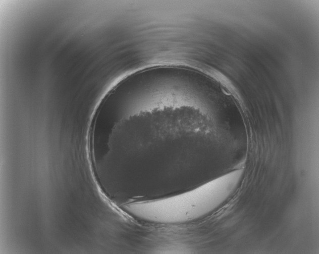 X0000064770958200602241949