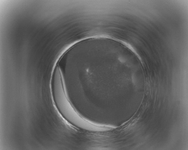 X0000064770959200602241949