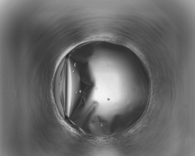 X0000064770960200602241949