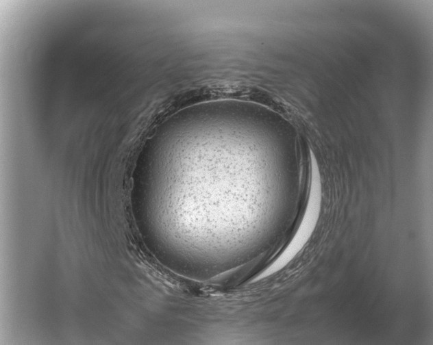 X0000064770961200602241947