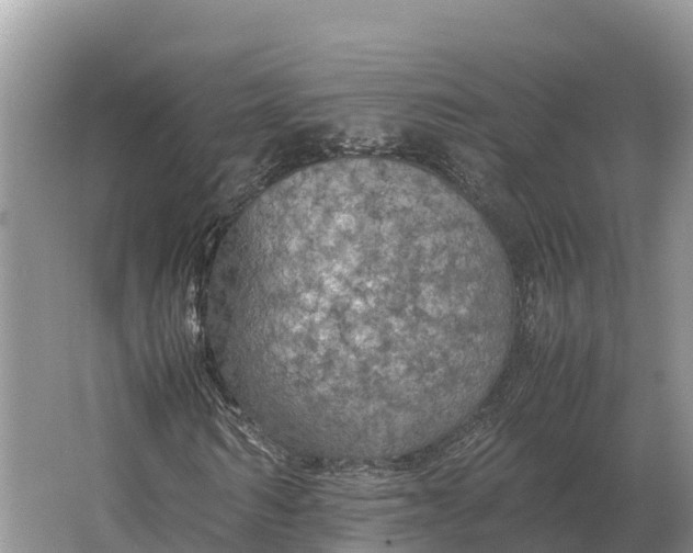 X0000064770962200602241947