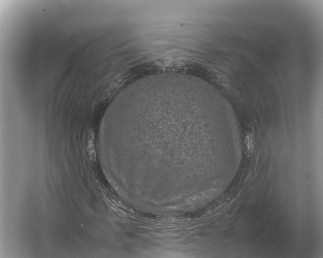 X0000064770963200602241947