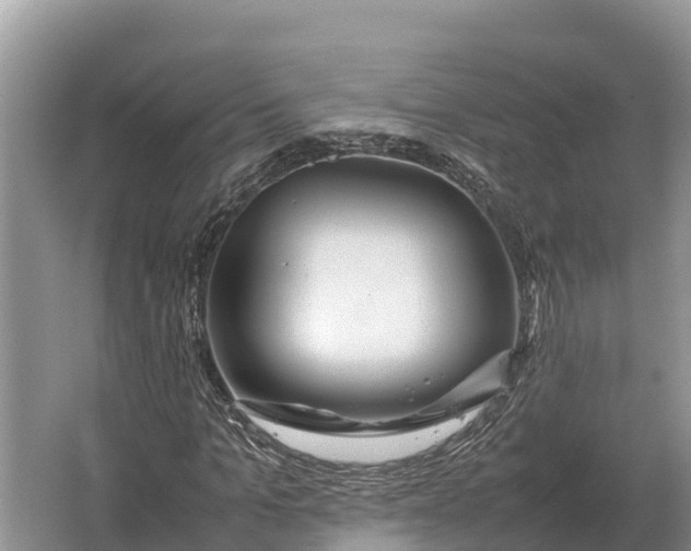 X0000064770965200602241947