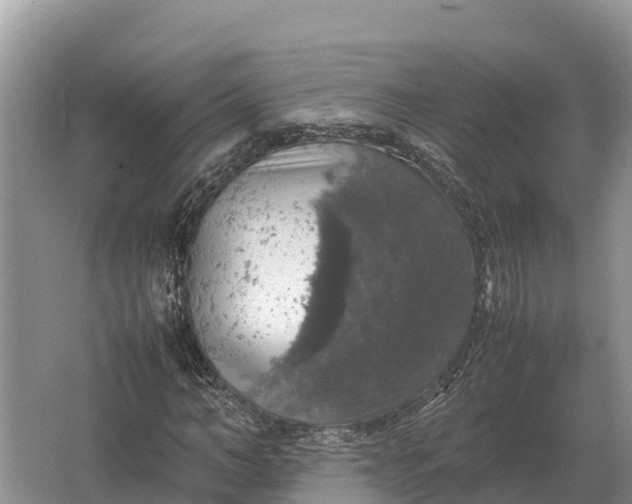 X0000064770966200602241947