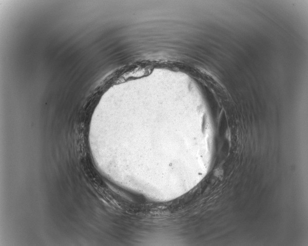 X0000064770968200602241947