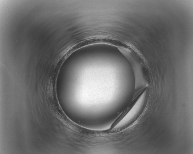 X0000064770969200602241947