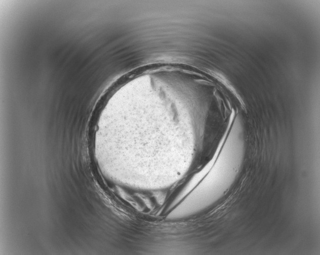 X0000064770972200602241947