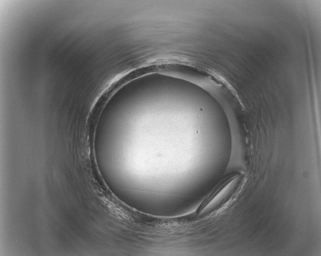 X0000064770973200602241947