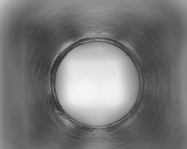 X0000064770974200602241947