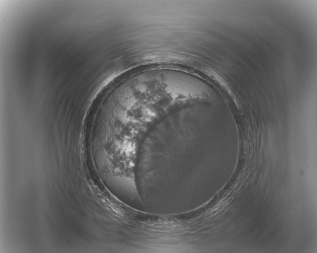 X0000064770975200602241947