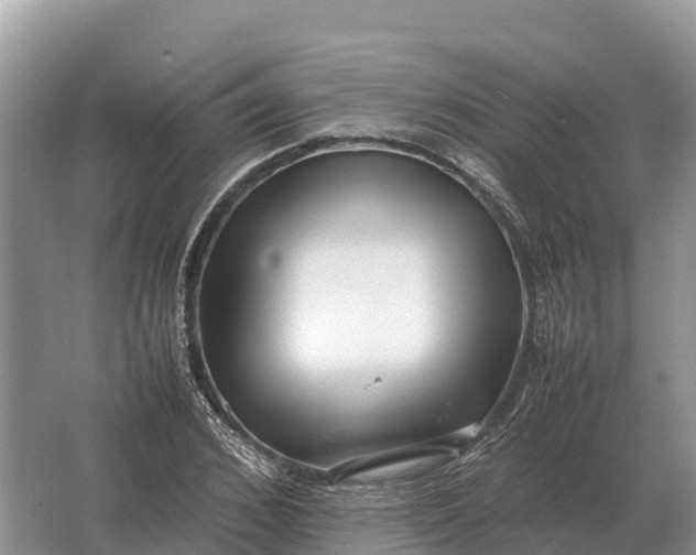 X0000064770976200602241947