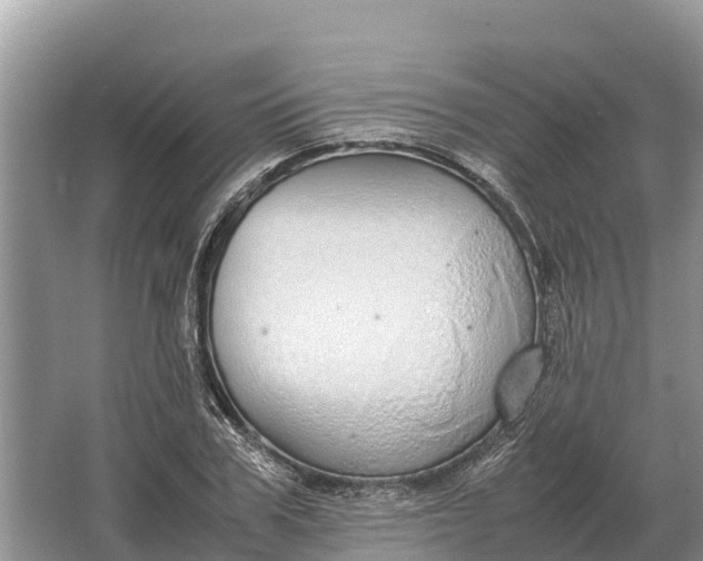 X0000064770979200602241947