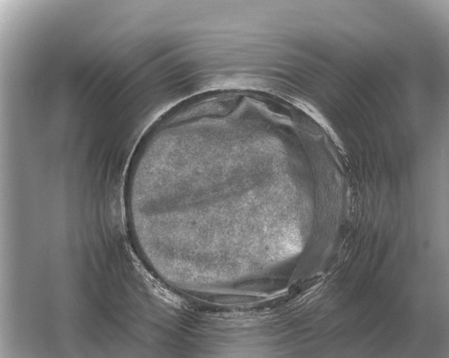 X0000064770980200602241947