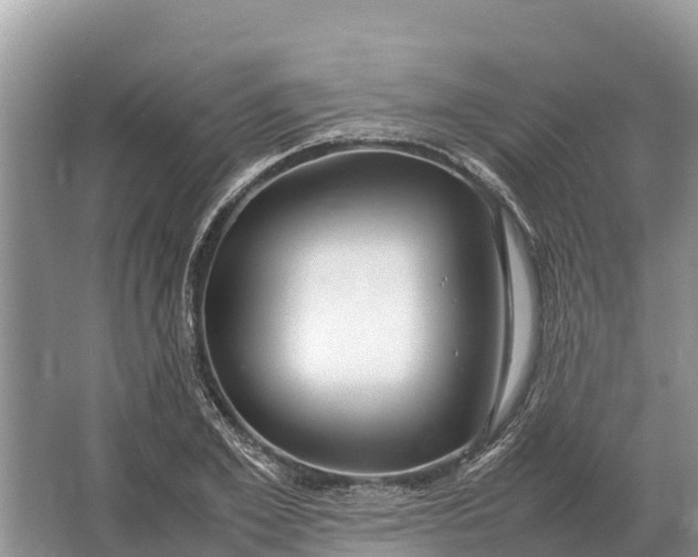 X0000064770981200602241947