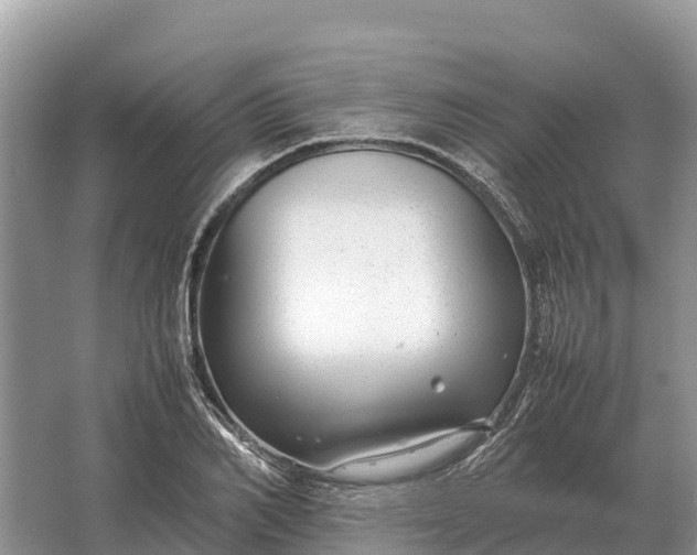 X0000064770982200602241947