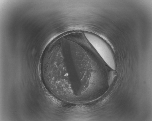 X0000064770983200602241947