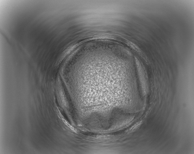 X0000064770985200602241947