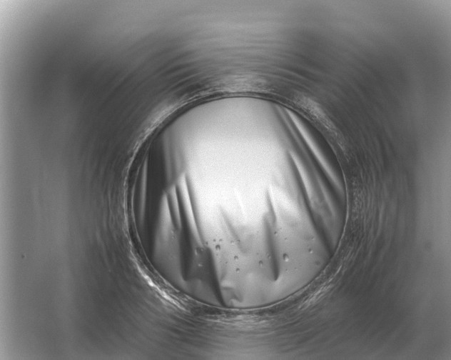 X0000064770986200602241947