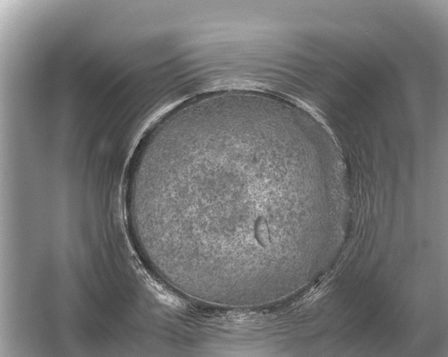 X0000064770987200602241947