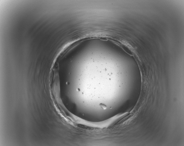 X0000064770989200602241947