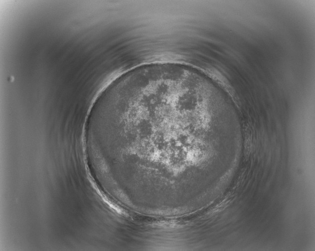 X0000064770990200602241947