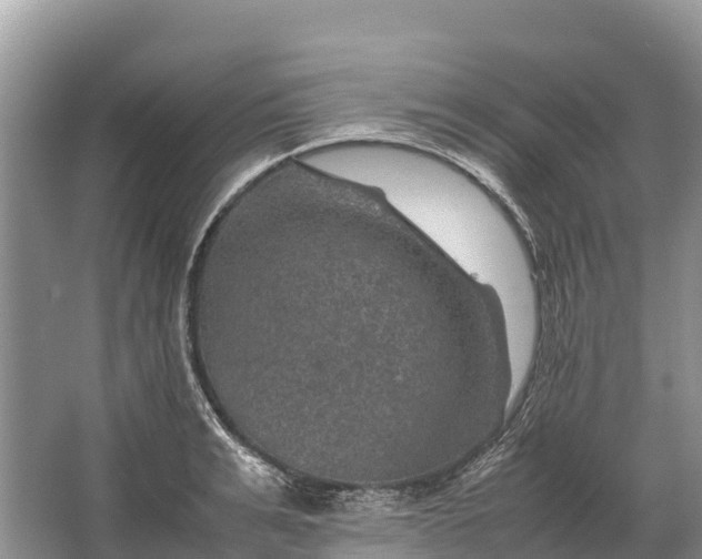 X0000064770991200602241947