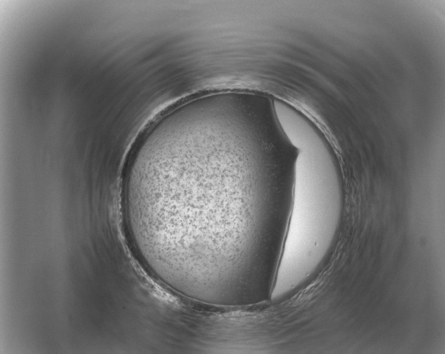 X0000064770992200602241947