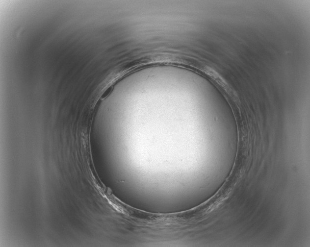 X0000064770993200602241947