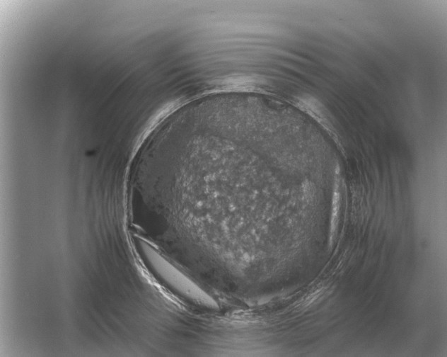 X0000064770994200602241947