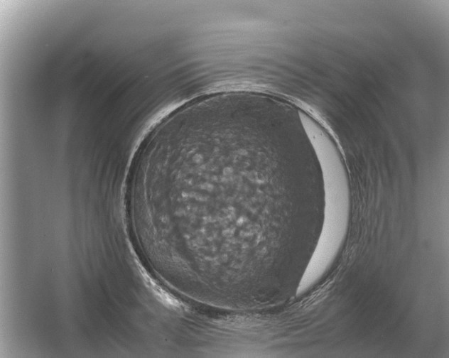 X0000064770995200602241947