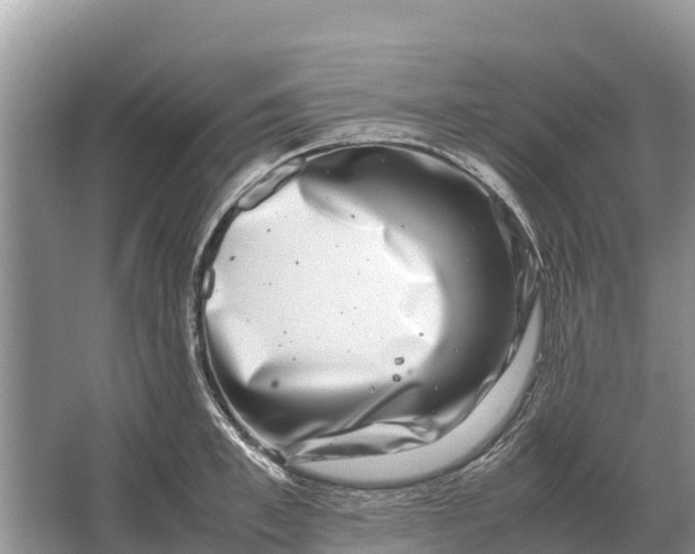 X0000064770997200602241947