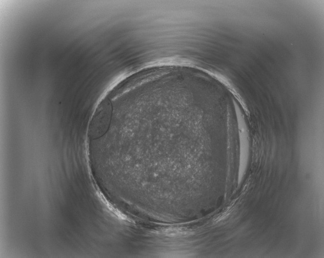 X0000064770998200602241947