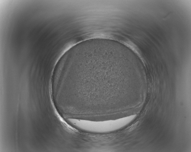 X0000064770999200602241946