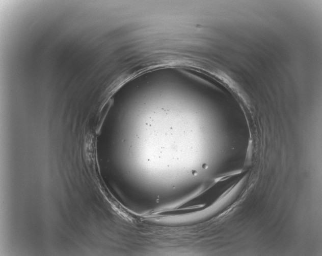 X0000064771001200602241946