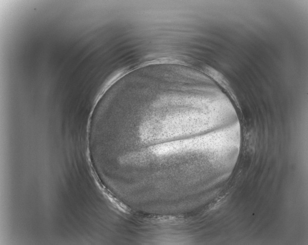 X0000064771002200602241946