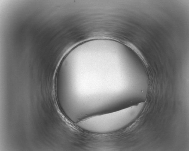 X0000064771004200602241946